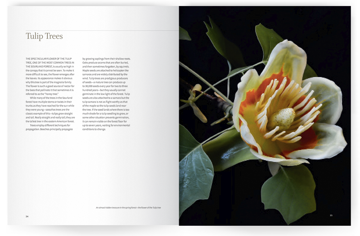 Photo of Seeing the Sourlands